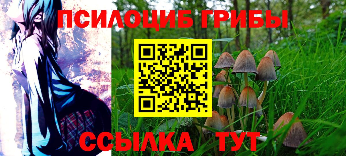 Псилоцибиновые грибы прущие грибы Сызрань