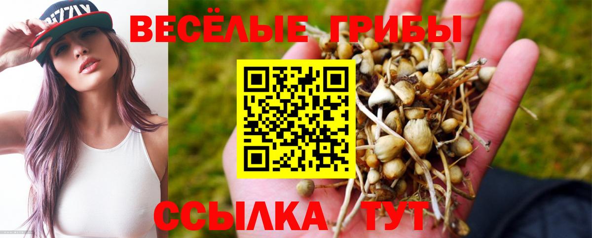 Сызрань  Галлюциногенные грибы ЛСД  Вход с VPN  Галлюциногенные грибы Magic Shrooms 